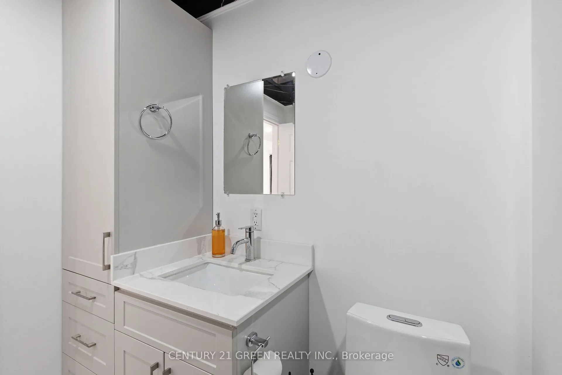135 Village Street, Hastings Highlands — bathroom vanity with quartz-style counter, mirror and toilet